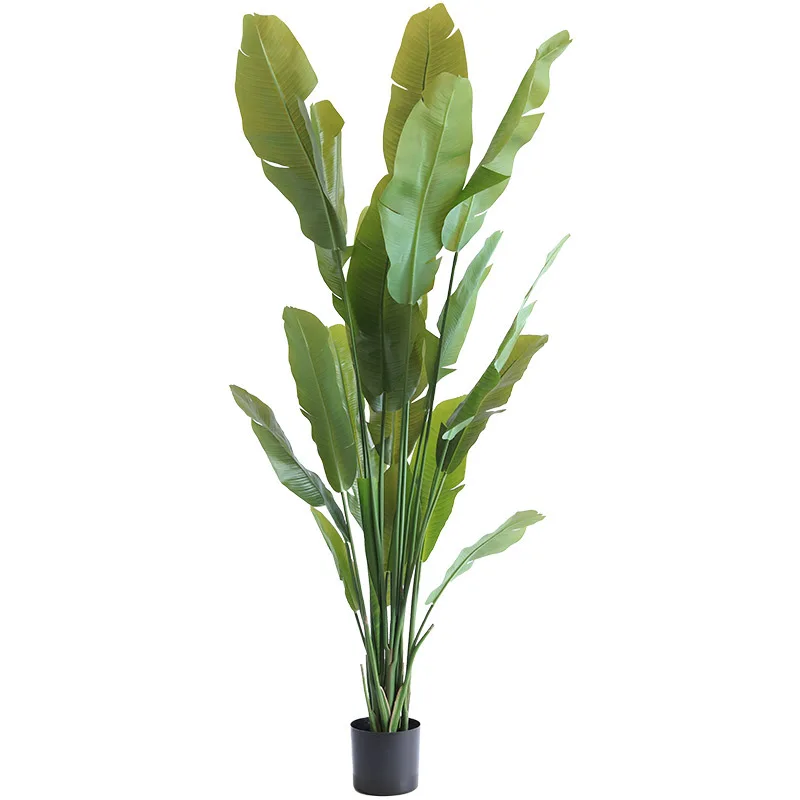 Plantain tree, thickened leaves, artificial potted plants, landscaping, tropical rainforest, false green plants
Plantain tree, thickened leaves, artificial potted plants, landscaping, tropical rainforest, false green plants