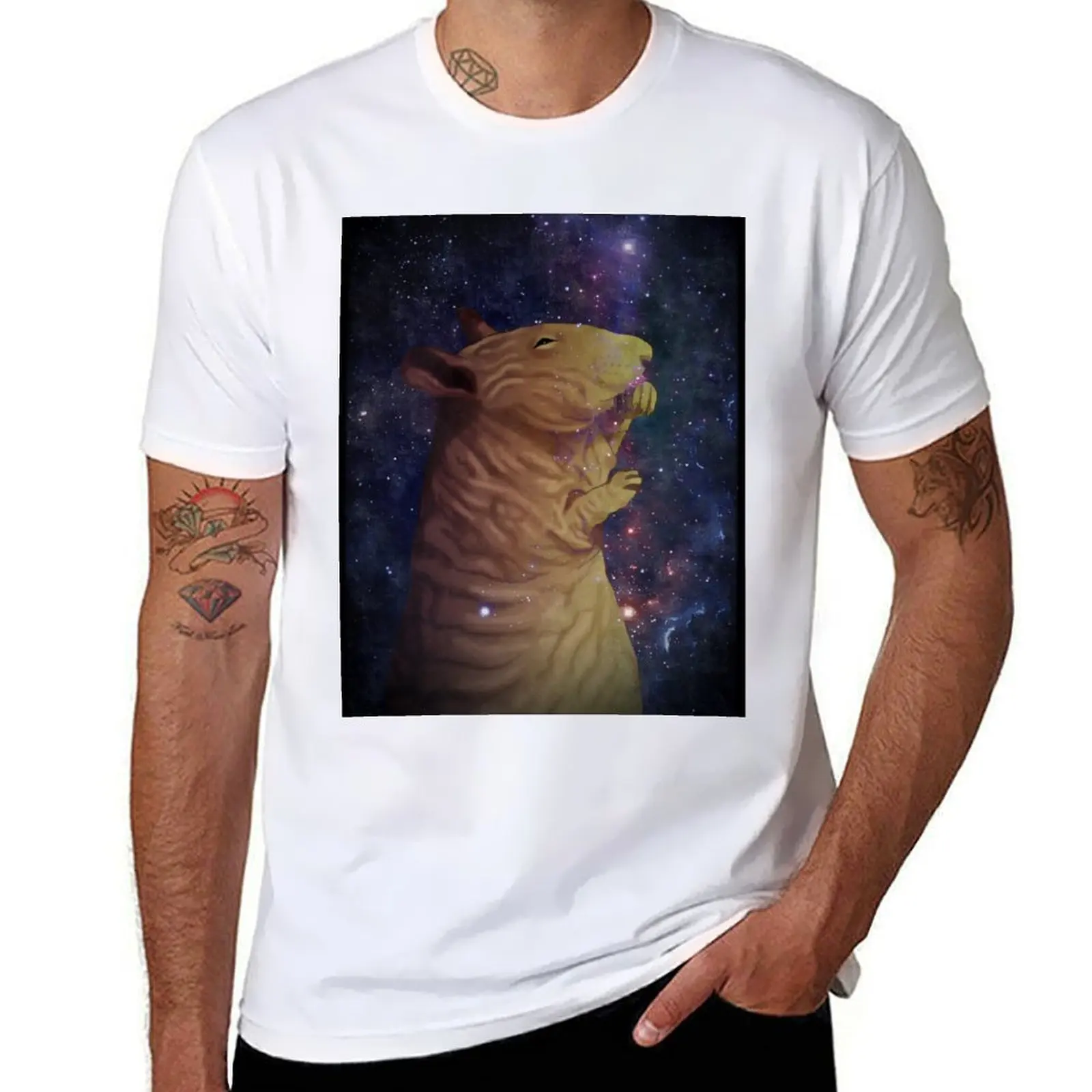 Sleeping hairless rat T-Shirt graphic t shirts for man man t shirt cotton high quality T-Shirt
Sleeping hairless rat T-Shirt graphic t shirts for man man t shirt cotton high quality T-Shirt