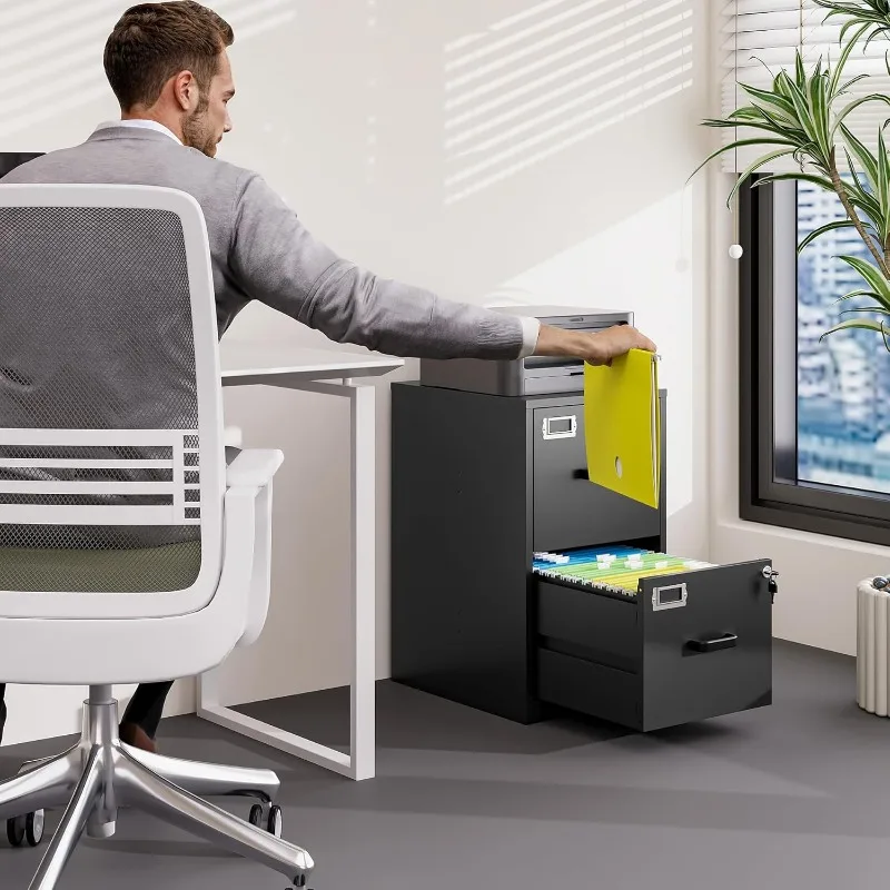 2 Drawer File Cabinet with Lock Vertical Filing Storage Cabinet Office Home Steel Vertical File Cabinets
2 Drawer File Cabinet with Lock Vertical Filing Storage Cabinet Office Home Steel Vertical File Cabinets
