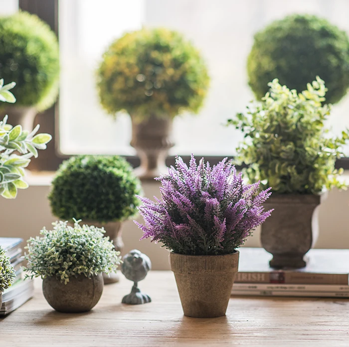 Artificial Tree Ball Bonsai Table Decoration Pieces Green Grass Ball Fake Flower Plant Pot Artificial Plants Home Decor Craft
Artificial Tree Ball Bonsai Table Decoration Pieces Green Grass Ball Fake Flower Plant Pot Artificial Plants Home Decor Craft