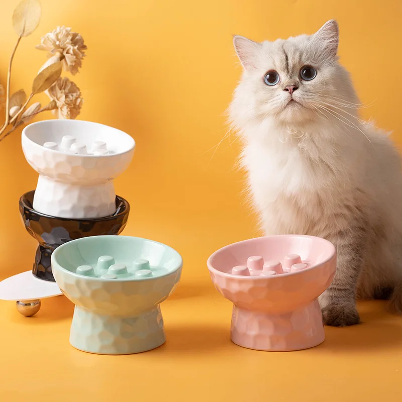 Ceramic Elevated Cat Bowl Slow Feeder Anti-choke Anti-tilt Slanted Neck Protection Pet Food Bowl For Cats Dogs
Ceramic Elevated Cat Bowl Slow Feeder Anti-choke Anti-tilt Slanted Neck Protection Pet Food Bowl For Cats Dogs