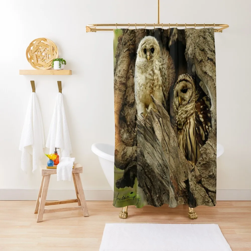 Mom and her baby owl ~ (NEW precious video part 4 in description) Shower Curtain Bathroom Box Bathroom And Shower Curtain
Mom and her baby owl ~ (NEW precious video part 4 in description) Shower Curtain Bathroom Box Bathroom And Shower Curtain