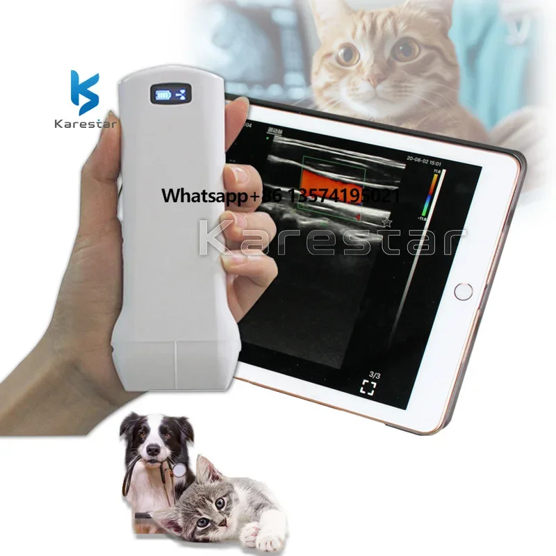 element wifi ultrasound medical machine probe handheld vet linear probe ultrasound
element wifi ultrasound medical machine probe handheld vet linear probe ultrasound