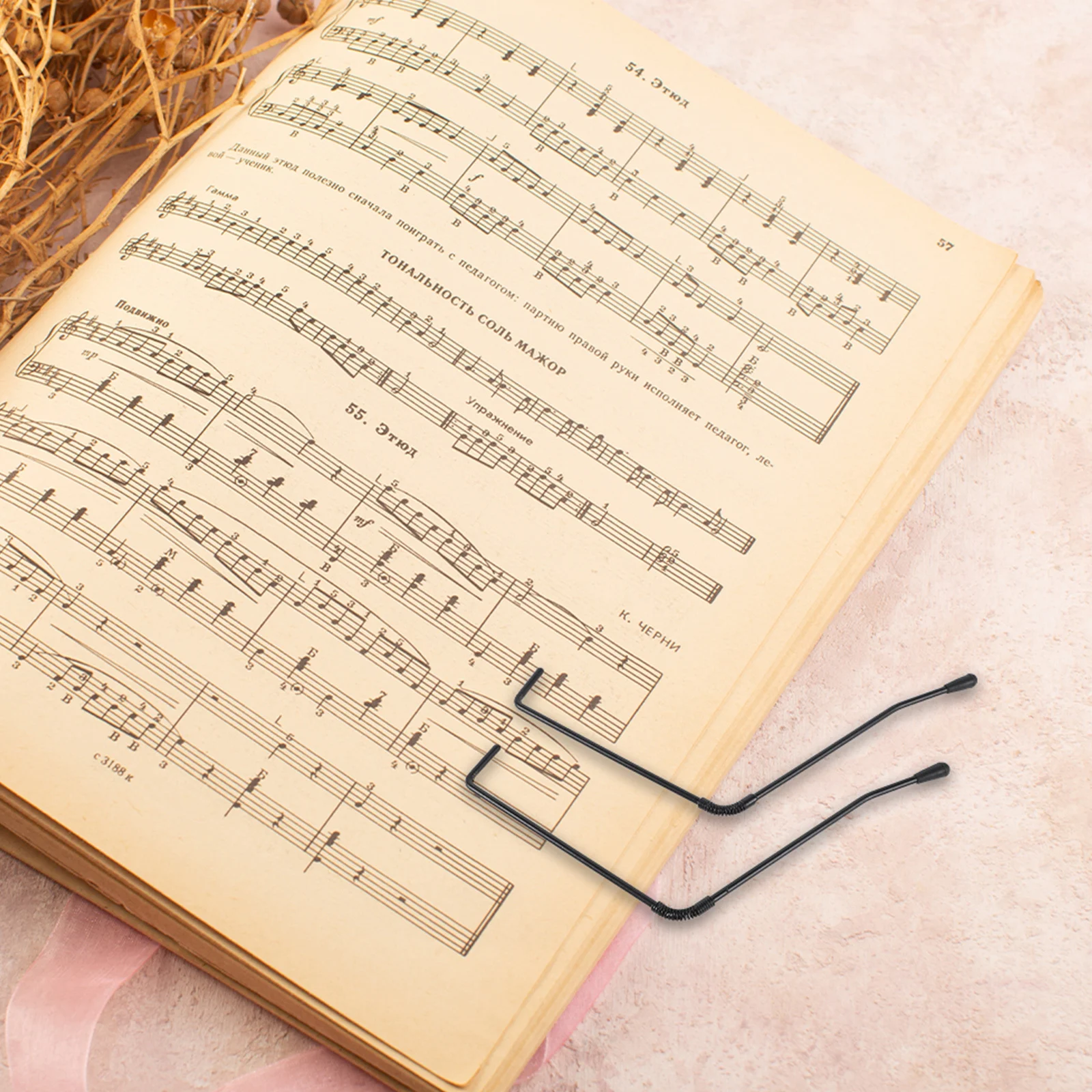 2 pcs Page Retainers Holder Clips Metal Book Stand Clamp Piano Accessories Replacement Parts Lightweight Portable Easy Carry
2 pcs Page Retainers Holder Clips Metal Book Stand Clamp Piano Accessories Replacement Parts Lightweight Portable Easy Carry