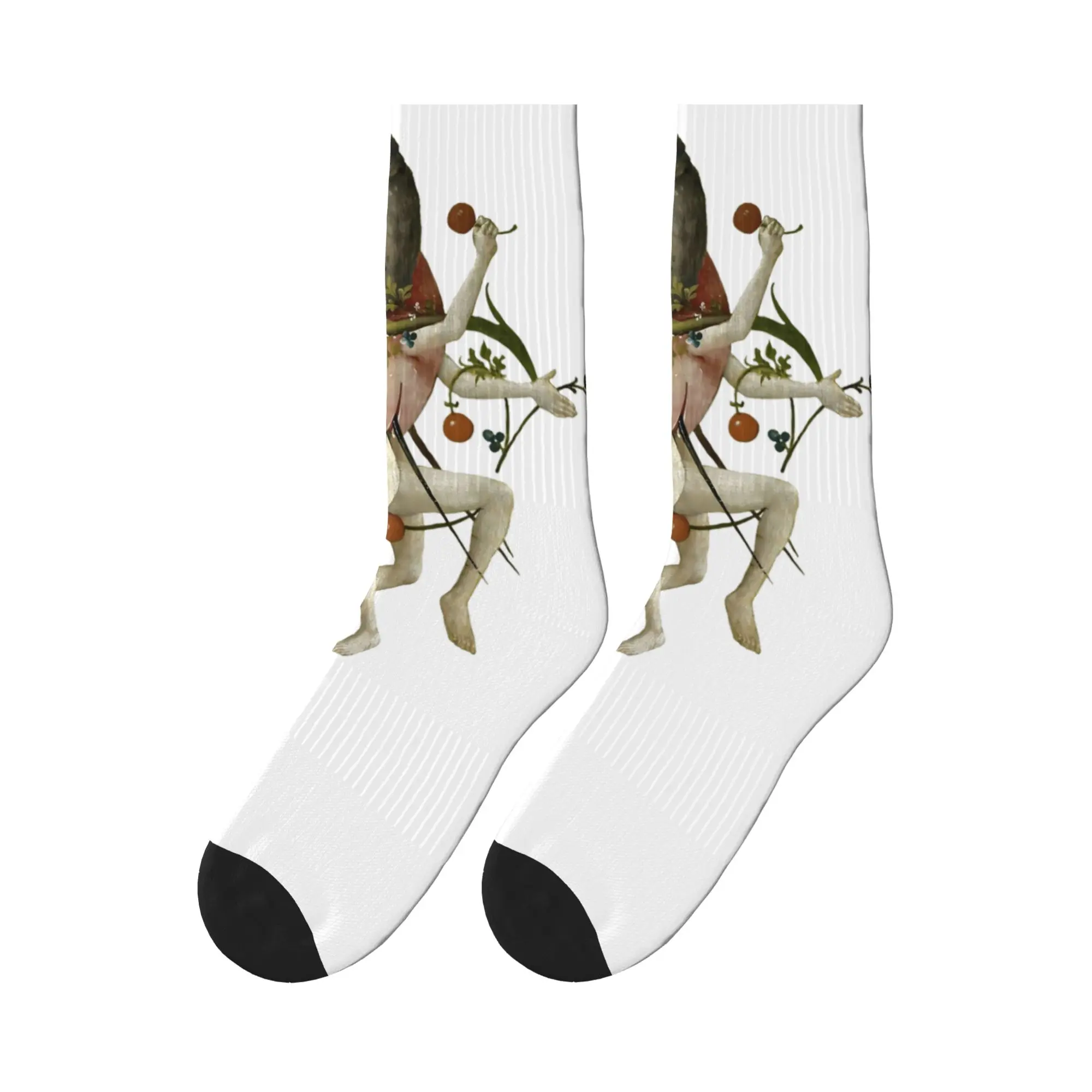 Спортивные носки Hieronymus Bosch Dancing Owl, высококачественные носки на все сезоны, длинные носки унисекс, рождественские подарки
Спортивные носки Hieronymus Bosch Dancing Owl, высококачественные носки на все сезоны, длинные носки унисекс, рождественские подарки