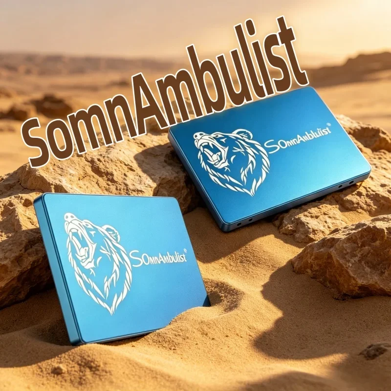 2026 Hot Sale SomnAmbulist SATA3 SSD 120GB-2TB Fast Boot Stable For Home Office Computer Upgrade
2026 Hot Sale SomnAmbulist SATA3 SSD 120GB-2TB Fast Boot Stable For Home Office Computer Upgrade