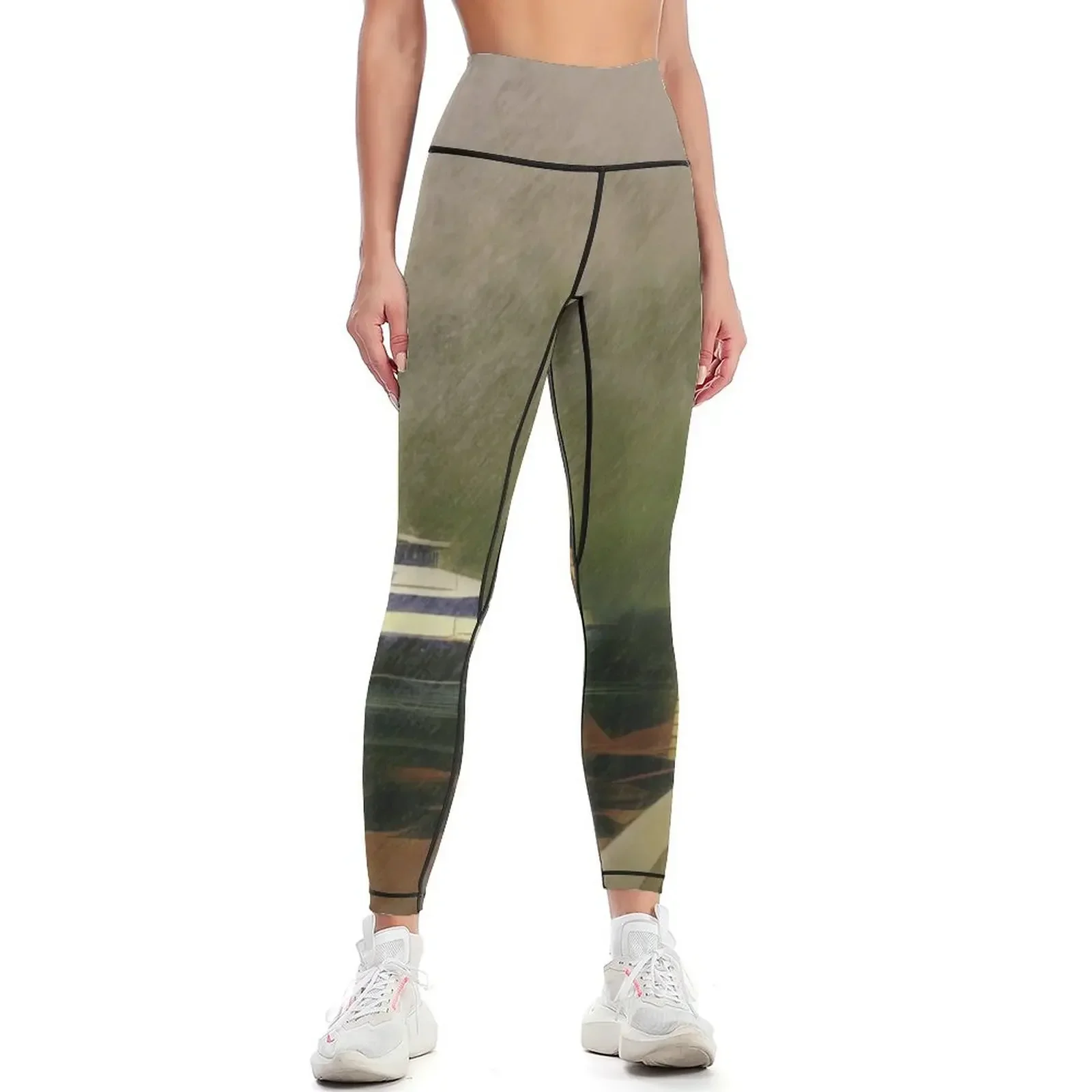 Nantucket Bound Brant Light Leggings legging push up Women's high waist Jogger pants gym pants Womens Leggings
Nantucket Bound Brant Light Leggings legging push up Women's high waist Jogger pants gym pants Womens Leggings