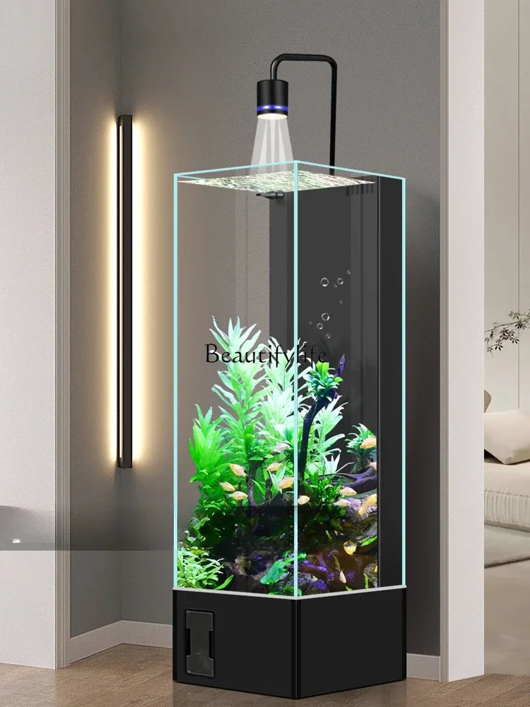 LD33New Fish Tank Living Room Small Aquarium Floor Household Super White Glass Change Water TV Cabinet next to Fish Globe
LD33New Fish Tank Living Room Small Aquarium Floor Household Super White Glass Change Water TV Cabinet next to Fish Globe