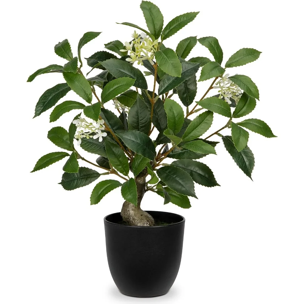 16.5'' Fake Plants Faux Laurel Bay Tree in Black Pot Realistic Greenery Artificial Plants Indoor Houseplant for Home Decor
16.5'' Fake Plants Faux Laurel Bay Tree in Black Pot Realistic Greenery Artificial Plants Indoor Houseplant for Home Decor