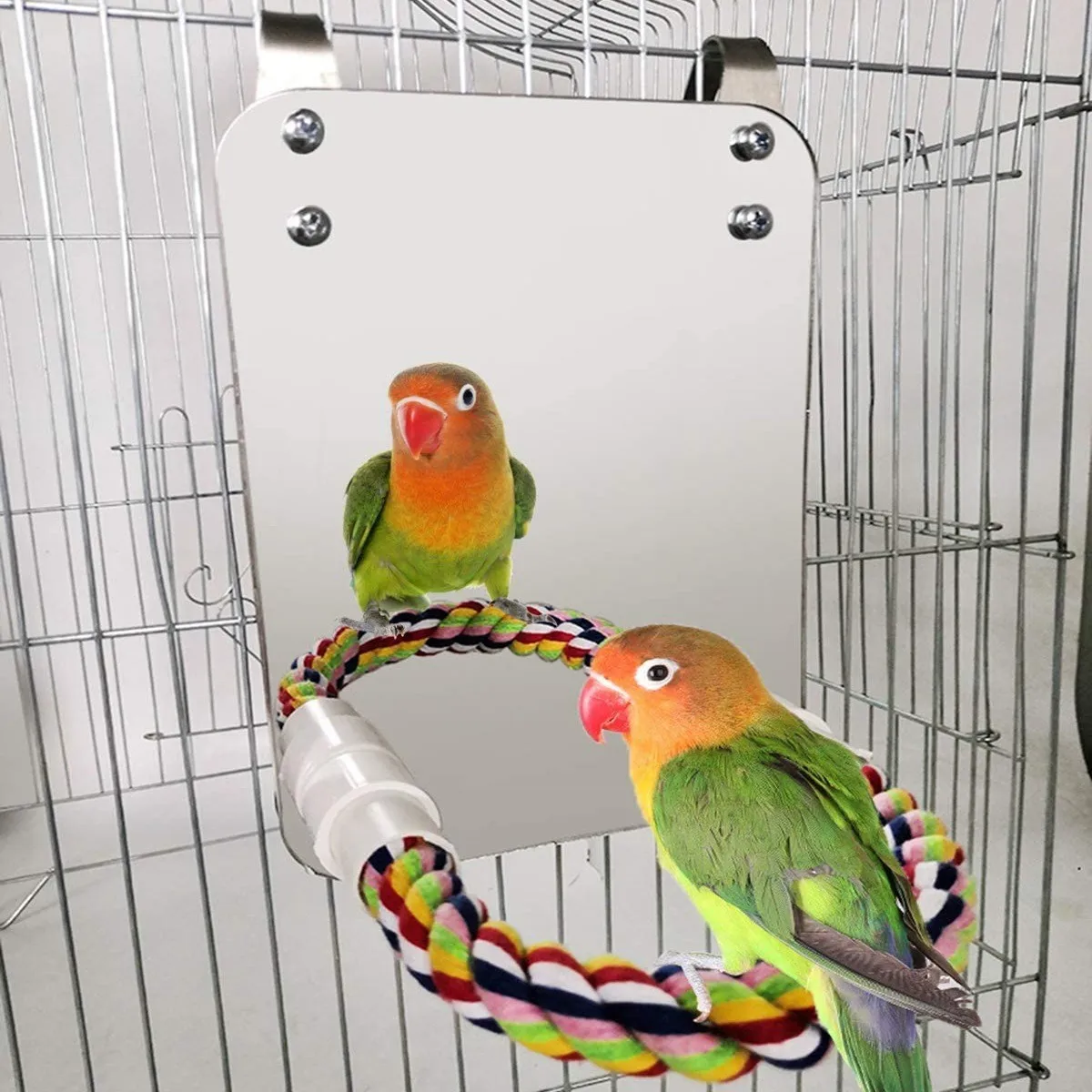 Bird Mirror Acrylic Cotton Rope Station Rod Station Rod Bird Toys Bird Supplies Utensils Puzzle Parrot Nibbling Toy Pet Supplies
Bird Mirror Acrylic Cotton Rope Station Rod Station Rod Bird Toys Bird Supplies Utensils Puzzle Parrot Nibbling Toy Pet Supplies