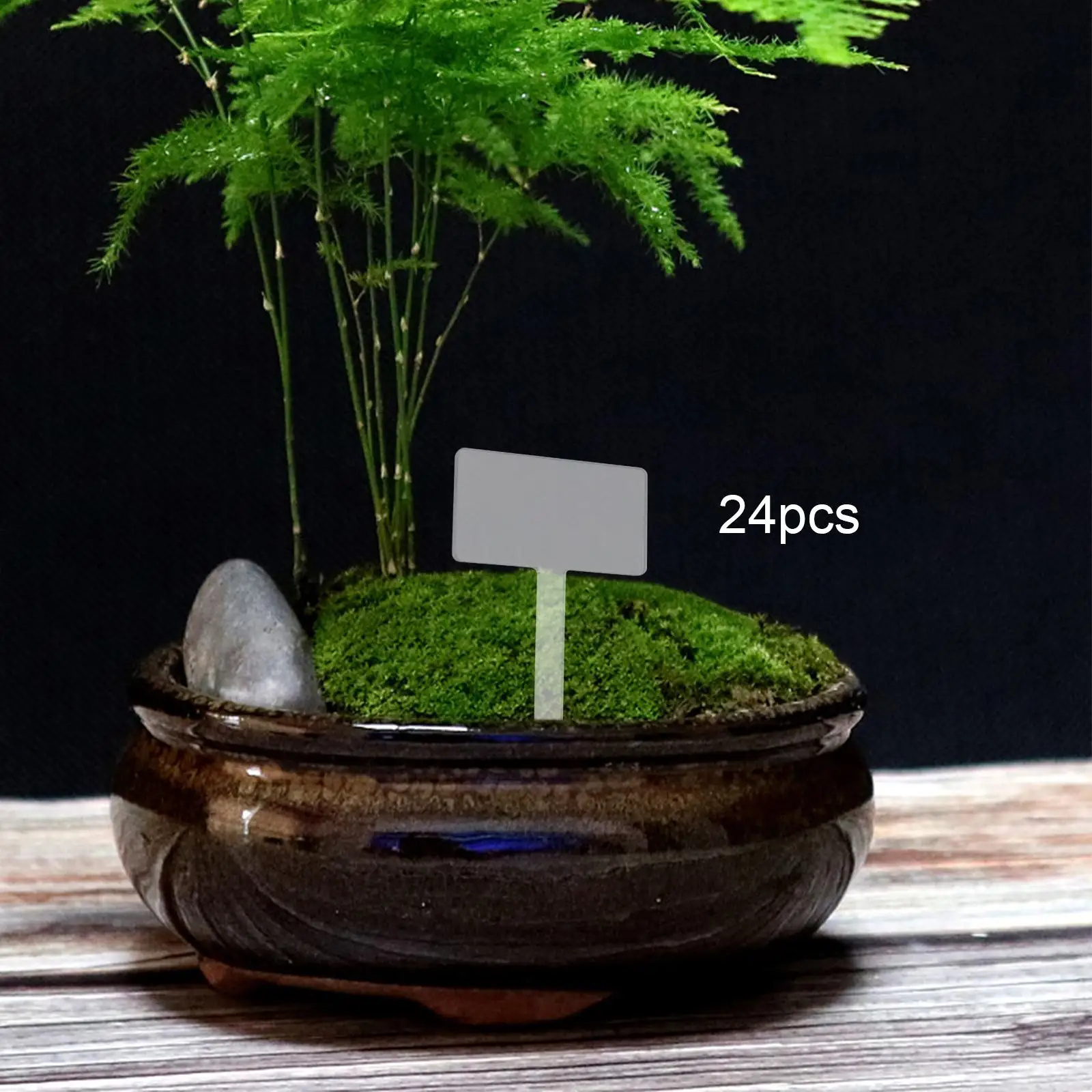24 Pieces Acrylic Plant Tag Plant Signs Reusable Vegetable Seedling Label Garden Labels for DIY Flower Grass Bonsai Potting
24 Pieces Acrylic Plant Tag Plant Signs Reusable Vegetable Seedling Label Garden Labels for DIY Flower Grass Bonsai Potting