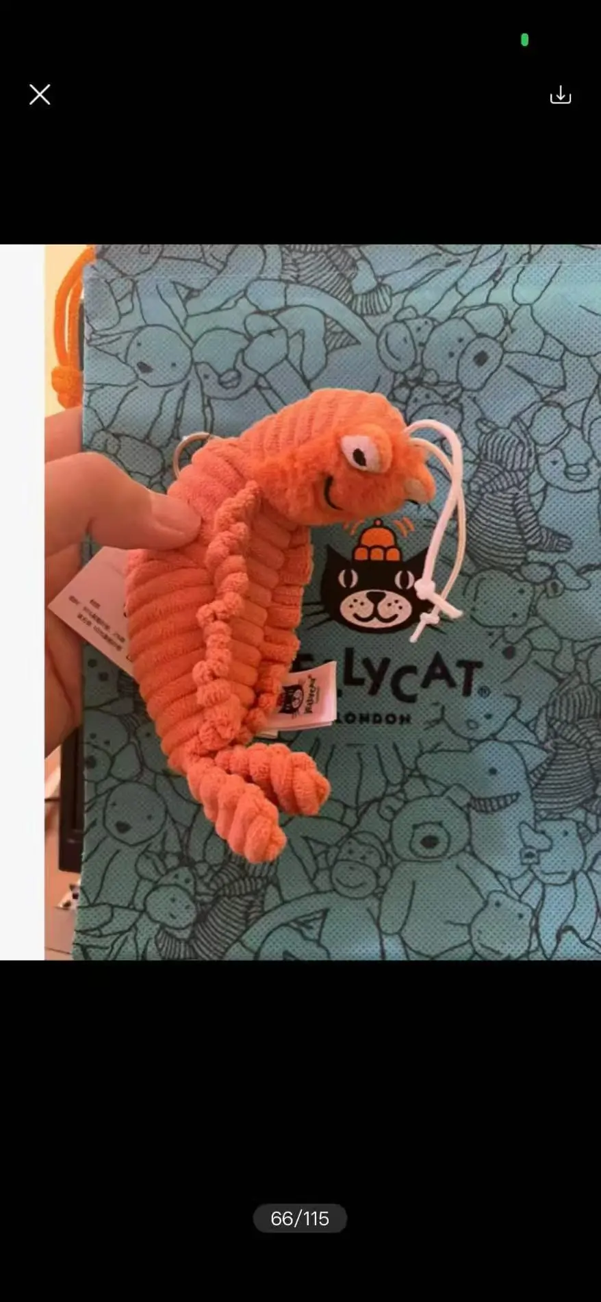 2026 JC brand plush toy keychains and ornaments, suitable as gifts for Children's Day, girls' birthdays, holidays, and more
2026 JC brand plush toy keychains and ornaments, suitable as gifts for Children's Day, girls' birthdays, holidays, and more