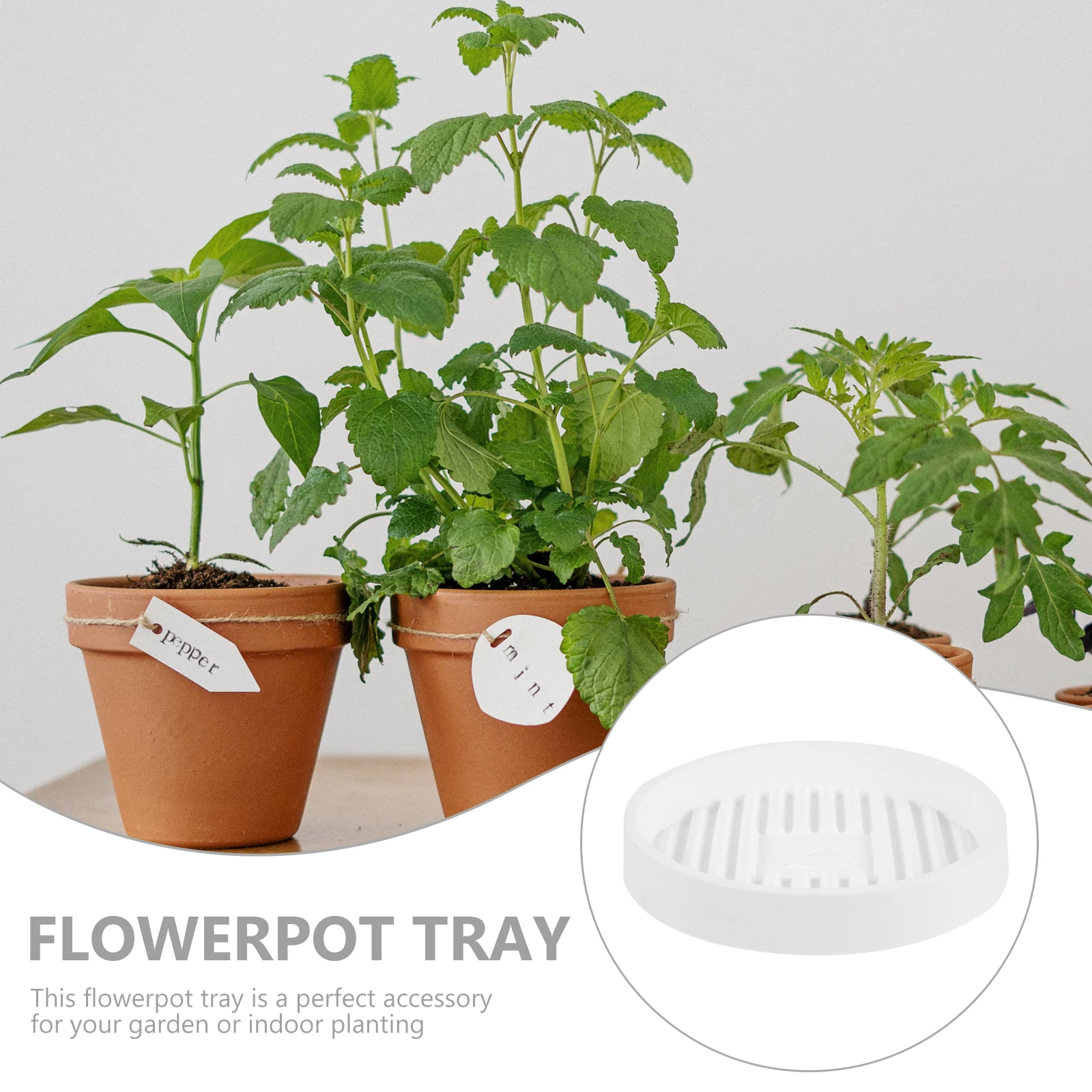 5pcs Plant Saucer Tray Round Drainage For Indoor Plants Durable Plastic Flowerpot Water Catcher Plate Garden Decor
5pcs Plant Saucer Tray Round Drainage For Indoor Plants Durable Plastic Flowerpot Water Catcher Plate Garden Decor