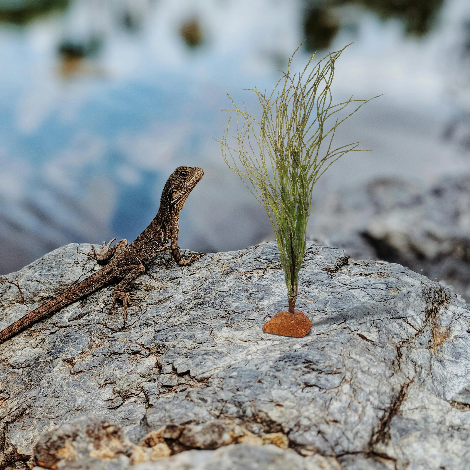 Reptile Tank Plants Artificial Realistic Decorative Leaves Suitable for Snake Gecko Bearded Dragon Lizard Turtle Terrarium Decor
Reptile Tank Plants Artificial Realistic Decorative Leaves Suitable for Snake Gecko Bearded Dragon Lizard Turtle Terrarium Decor