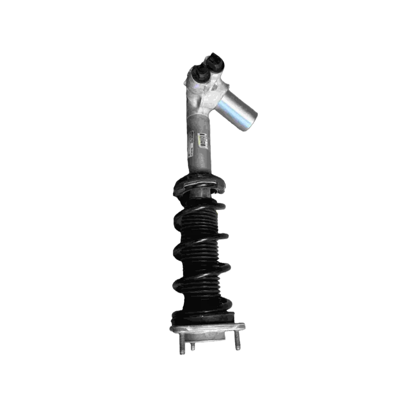 New Auto Spare Parts Shock Absorber Left Front Shock Absorber Kit for for W192 G Class 2019-
New Auto Spare Parts Shock Absorber Left Front Shock Absorber Kit for for W192 G Class 2019-