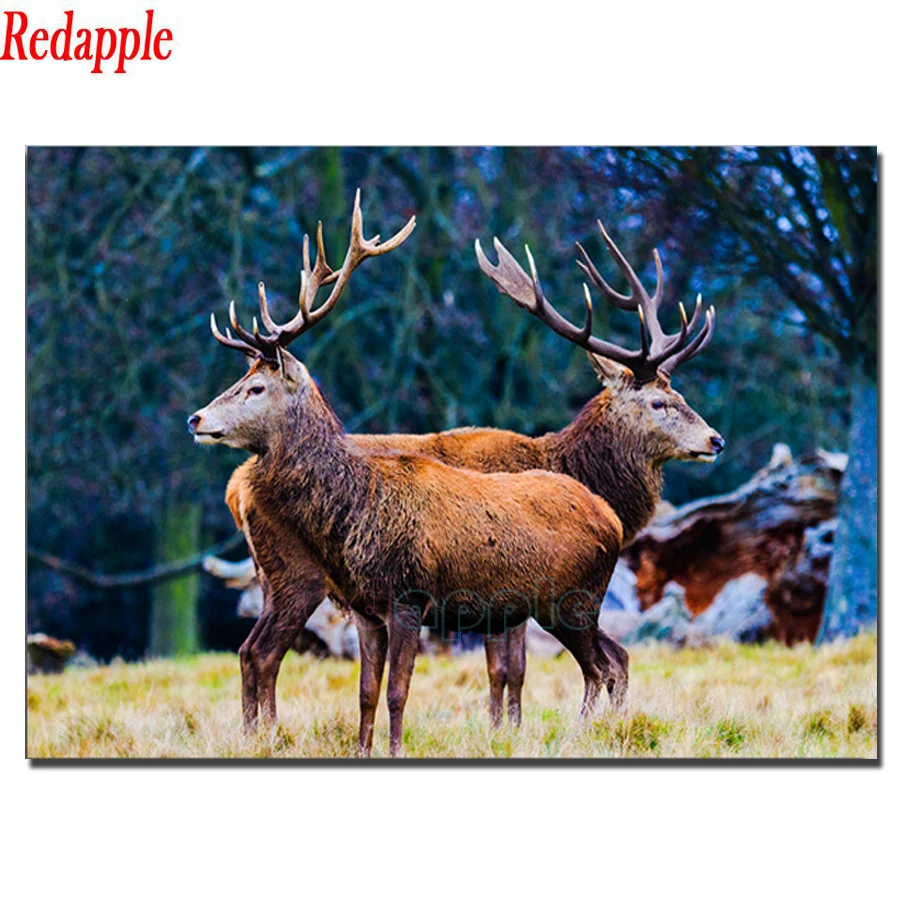 5D DIY Diamond Painting forest deer Full Square round Diamond Embroidery Animals Rhinestones Mosaic Art Kits Home Decoration
5D DIY Diamond Painting forest deer Full Square round Diamond Embroidery Animals Rhinestones Mosaic Art Kits Home Decoration