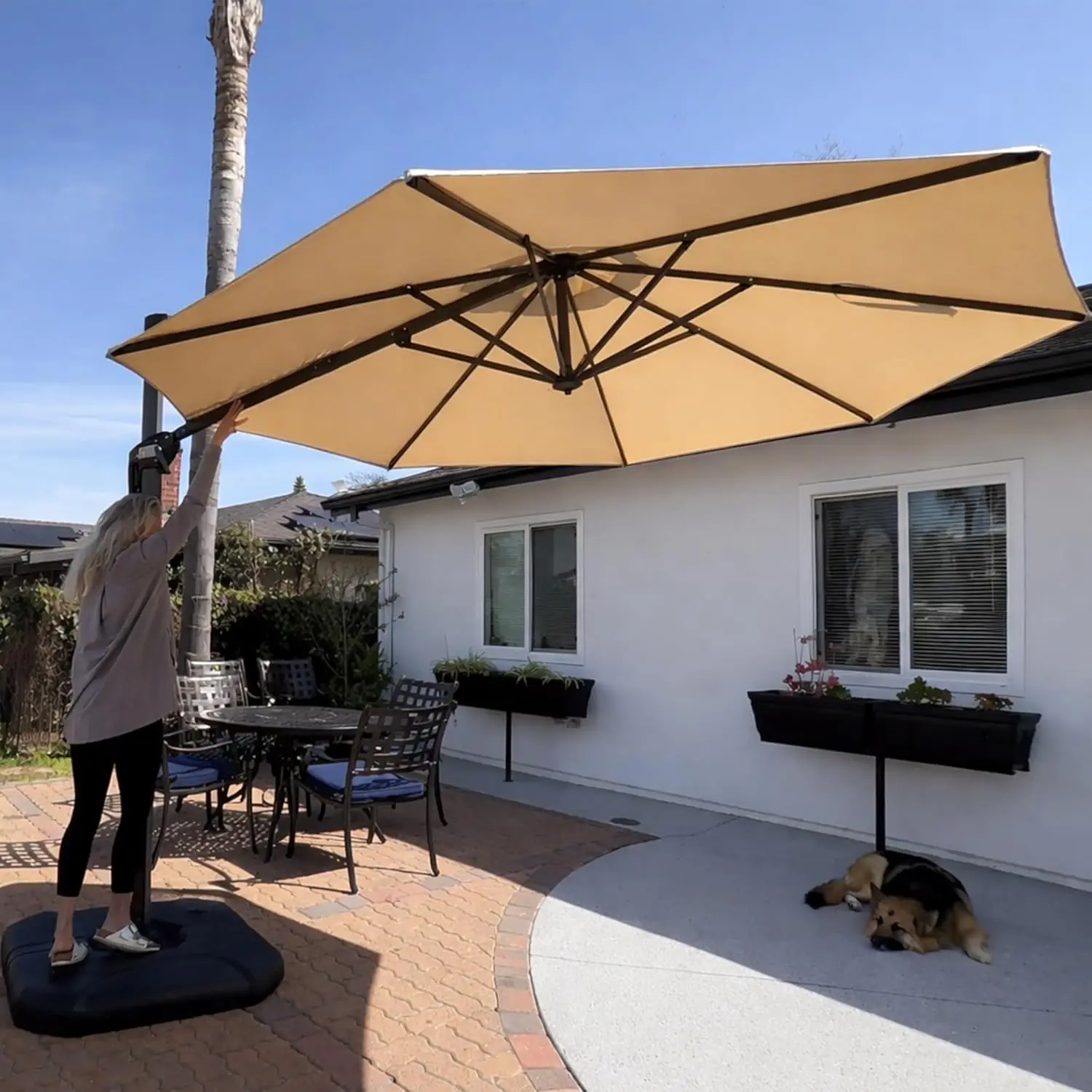 LEAF 10 Feet Patio Umbrella with Base Outdoor Cantilever Round Umbrella Aluminum Offset Umbrella with 360-degree Rotation for G
LEAF 10 Feet Patio Umbrella with Base Outdoor Cantilever Round Umbrella Aluminum Offset Umbrella with 360-degree Rotation for G