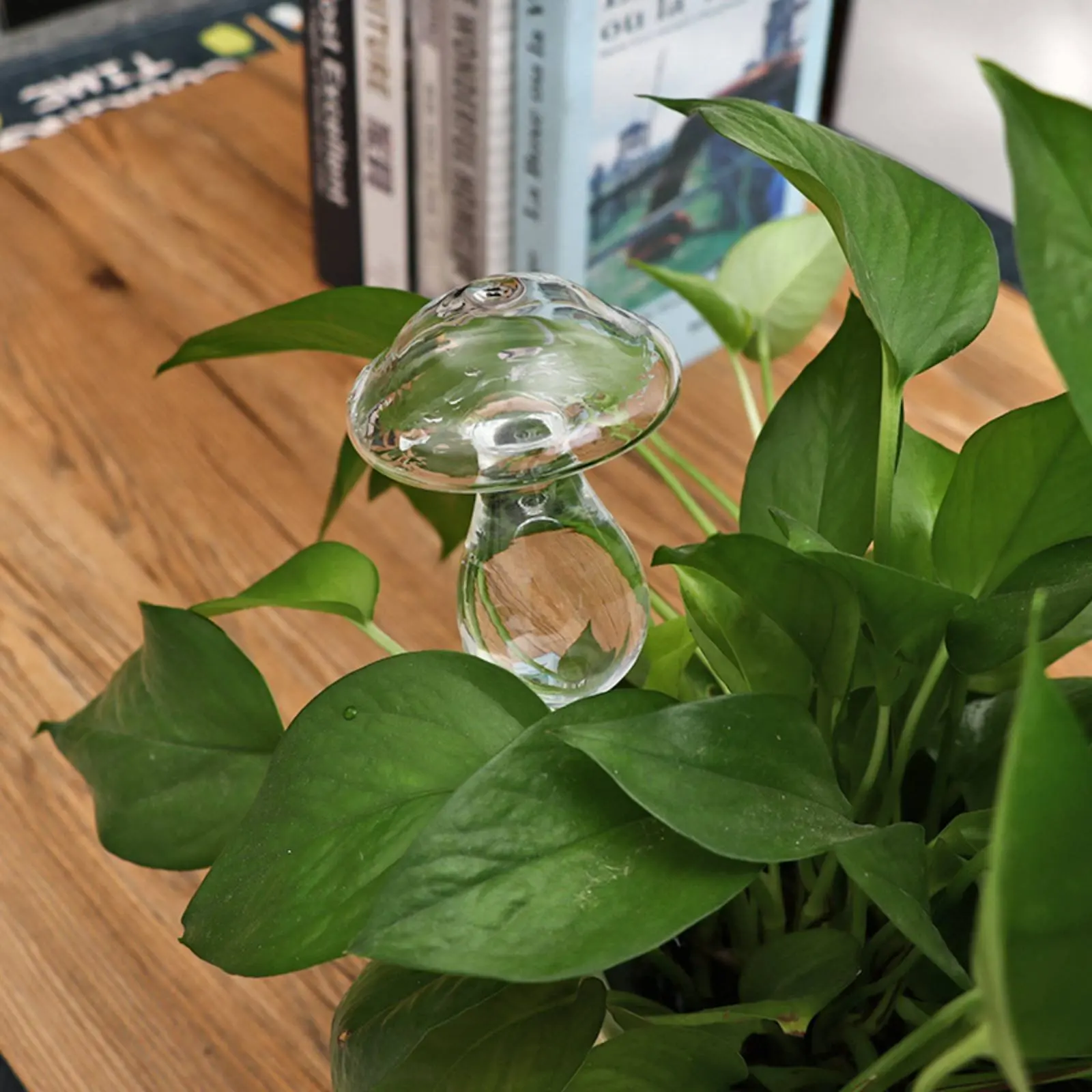 Automatic Plant Watering Globe Handmade Glass Automatic-Watering Probe Gardening Supply for Indoor, Office
Automatic Plant Watering Globe Handmade Glass Automatic-Watering Probe Gardening Supply for Indoor, Office