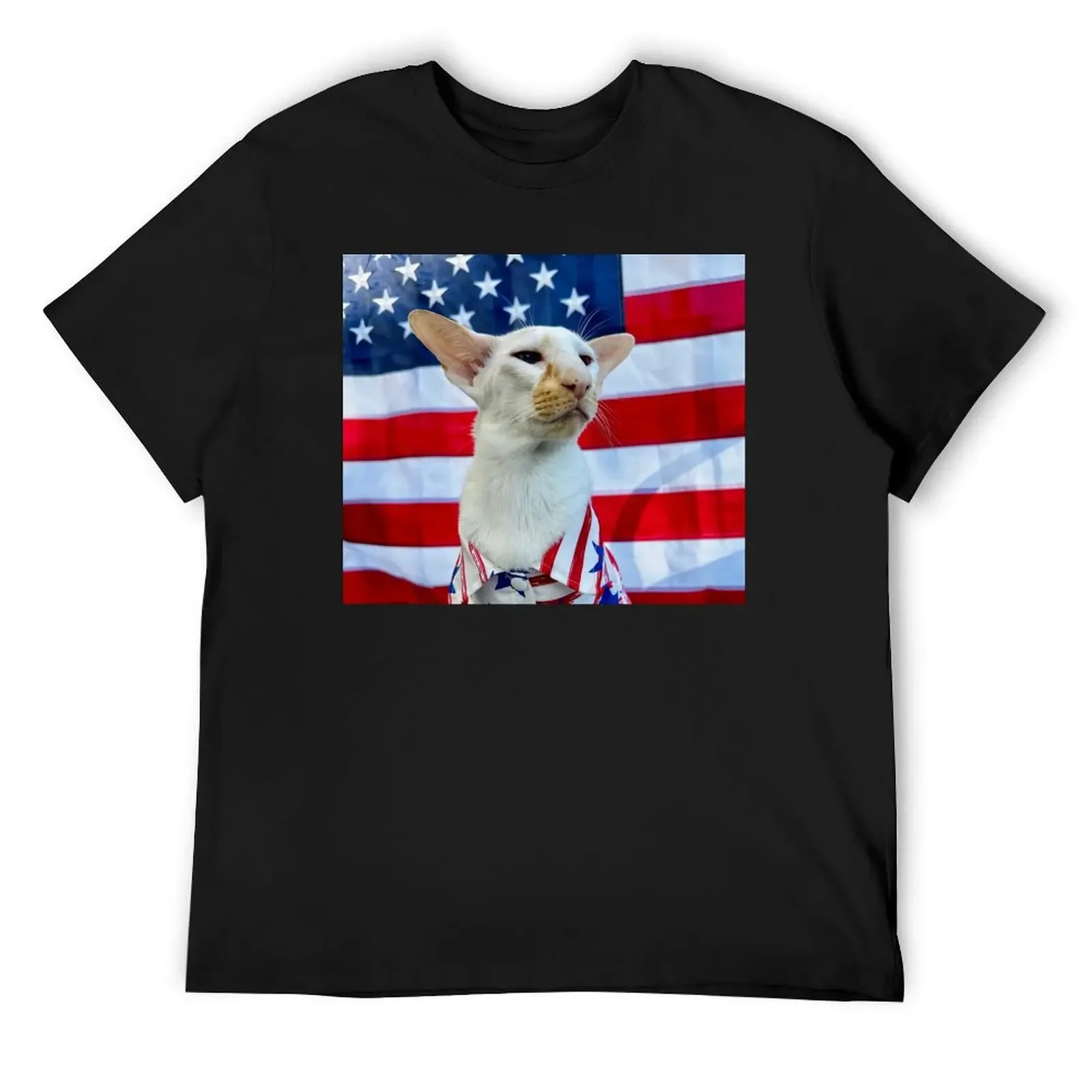 American Winston T-Shirt basketball graphic tees anime figures funny gifts animal prinfor boys fitted t shirts for men
American Winston T-Shirt basketball graphic tees anime figures funny gifts animal prinfor boys fitted t shirts for men