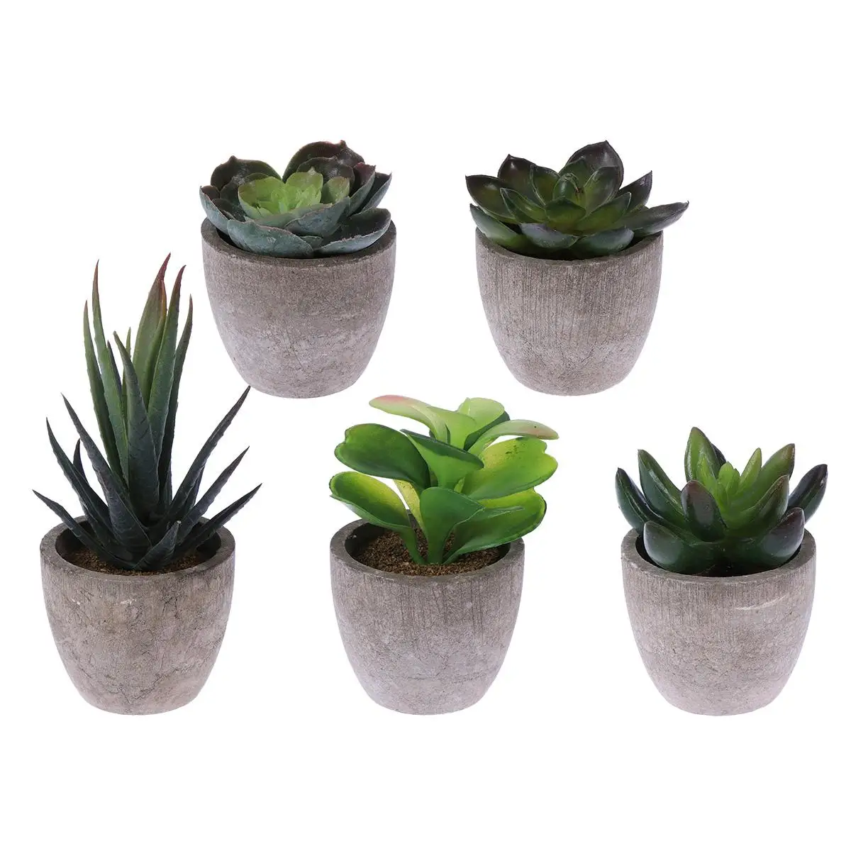5 Pcs Artificial Succulent Plants Realistic Mini Fake Succulents Decorative Small naments Indoor Potted Plants Household Faux
5 Pcs Artificial Succulent Plants Realistic Mini Fake Succulents Decorative Small naments Indoor Potted Plants Household Faux