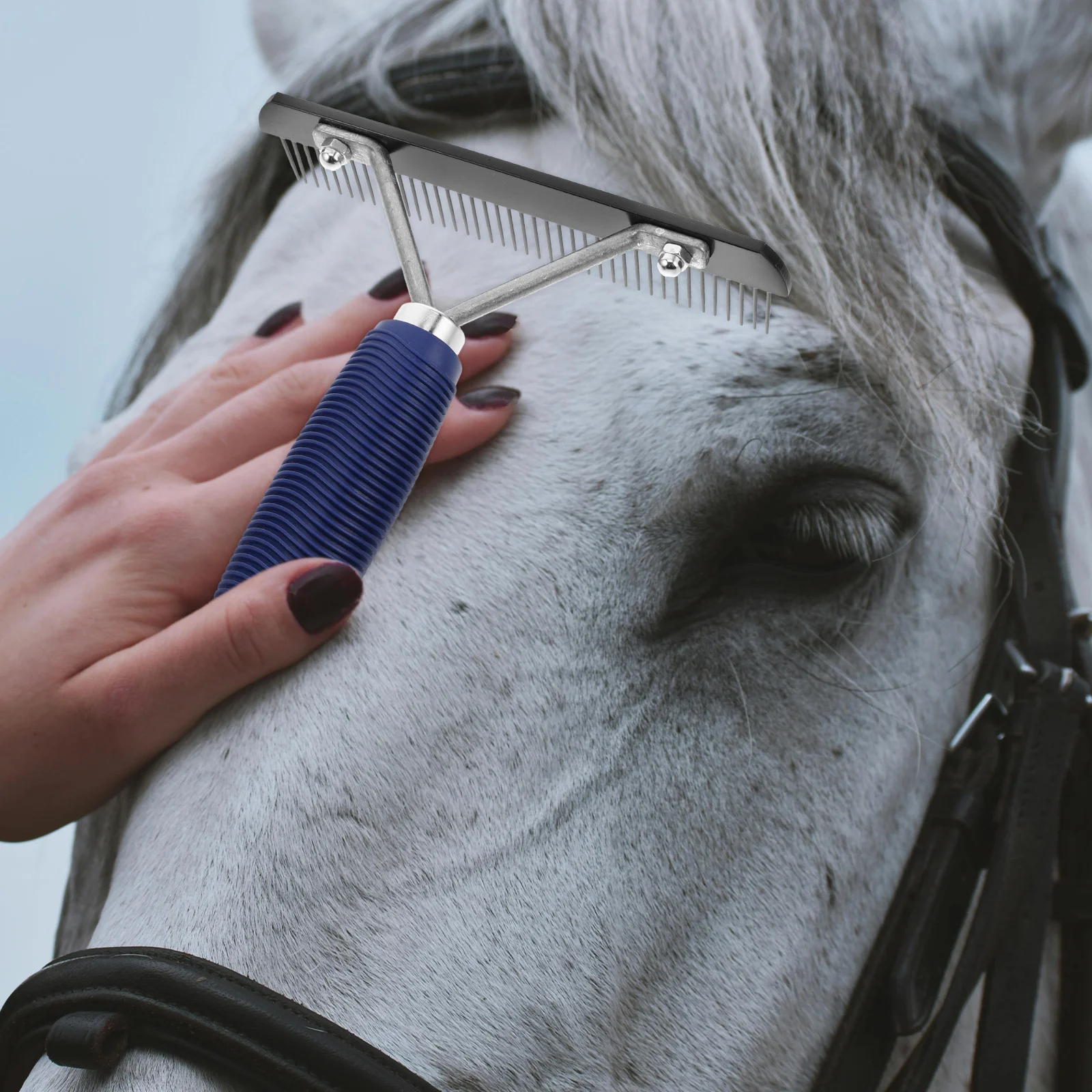 Horse Dematting Brush with Handle Heavy Duty Grooming Comb for Mane Tail Undercoat Removal Dog Sheep Cow Care Tool
Horse Dematting Brush with Handle Heavy Duty Grooming Comb for Mane Tail Undercoat Removal Dog Sheep Cow Care Tool