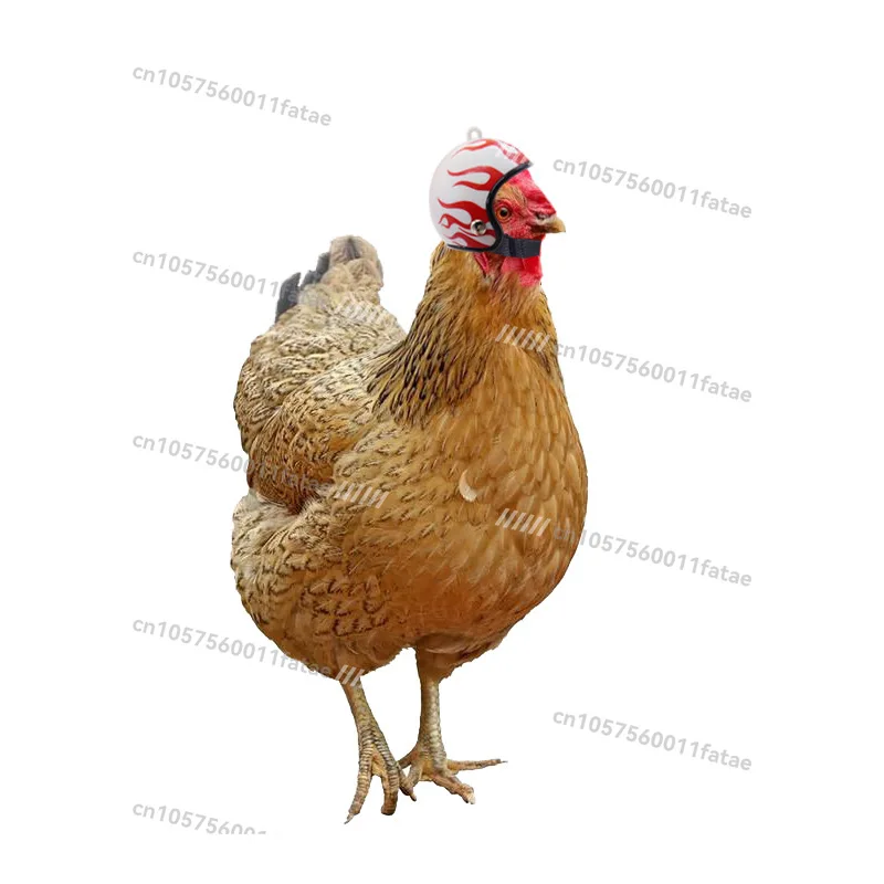 Helmet Chicken Pet Supplies, Funny Hard Hat Hat Helmet Protection Pet Headgear
Helmet Chicken Pet Supplies, Funny Hard Hat Hat Helmet Protection Pet Headgear