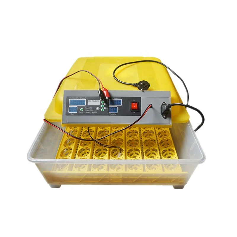 56 Eggs Automatic Chicken Cheap Incubator and Hatching Machine for Sale
56 Eggs Automatic Chicken Cheap Incubator and Hatching Machine for Sale