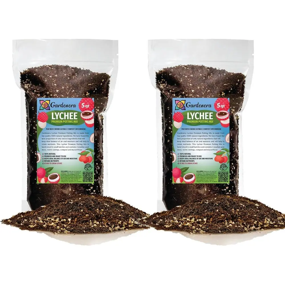 Смесь грунта для личи - питательная, с хорошей дренажной способностью и оптимизированной аэрацией для здорового роста - 10 кварт
Смесь грунта для личи - питательная, с хорошей дренажной способностью и оптимизированной аэрацией для здорового роста - 10 кварт