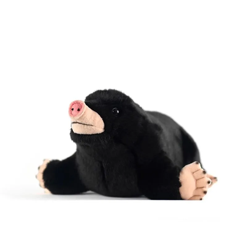 Simulated Animal Mole Talpidae Black Mouse Anteater Soricidea Wild Nature Zoo Animal Plush Toy Stuffed Doll Boy Girl Friend Gift
Simulated Animal Mole Talpidae Black Mouse Anteater Soricidea Wild Nature Zoo Animal Plush Toy Stuffed Doll Boy Girl Friend Gift