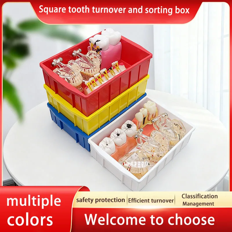 1Pc Dental Colourful Turnover Box Container Sorting Case Dentistry Sorting Placement Plastic Box Lab Tools Dental Lab Work Tray
1Pc Dental Colourful Turnover Box Container Sorting Case Dentistry Sorting Placement Plastic Box Lab Tools Dental Lab Work Tray
