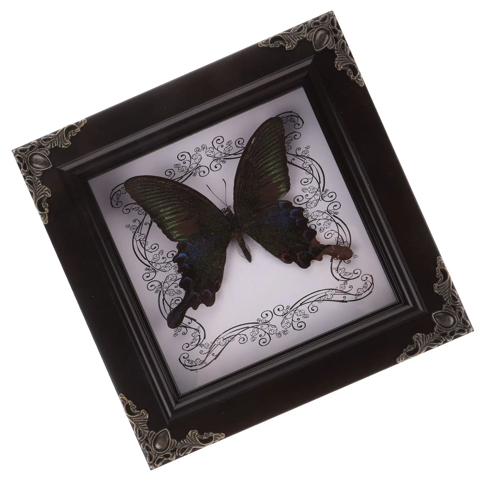 Butterfly Specimen Home Framed Insect Display Desk Ornaments Picture Desk Ornaments Vintage Framed Butterfly Style
Butterfly Specimen Home Framed Insect Display Desk Ornaments Picture Desk Ornaments Vintage Framed Butterfly Style