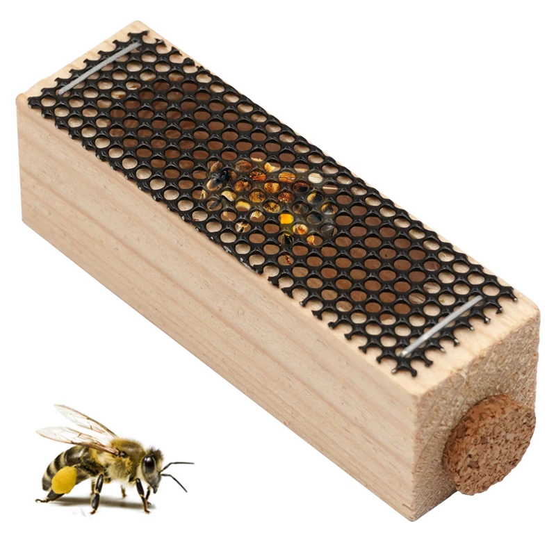 1 Pcs Bee Queen Catcher Colorless Clear Wooden Clip Cage Beekeeping Equipment Tool Beekeeper Equip Isolation Room
1 Pcs Bee Queen Catcher Colorless Clear Wooden Clip Cage Beekeeping Equipment Tool Beekeeper Equip Isolation Room