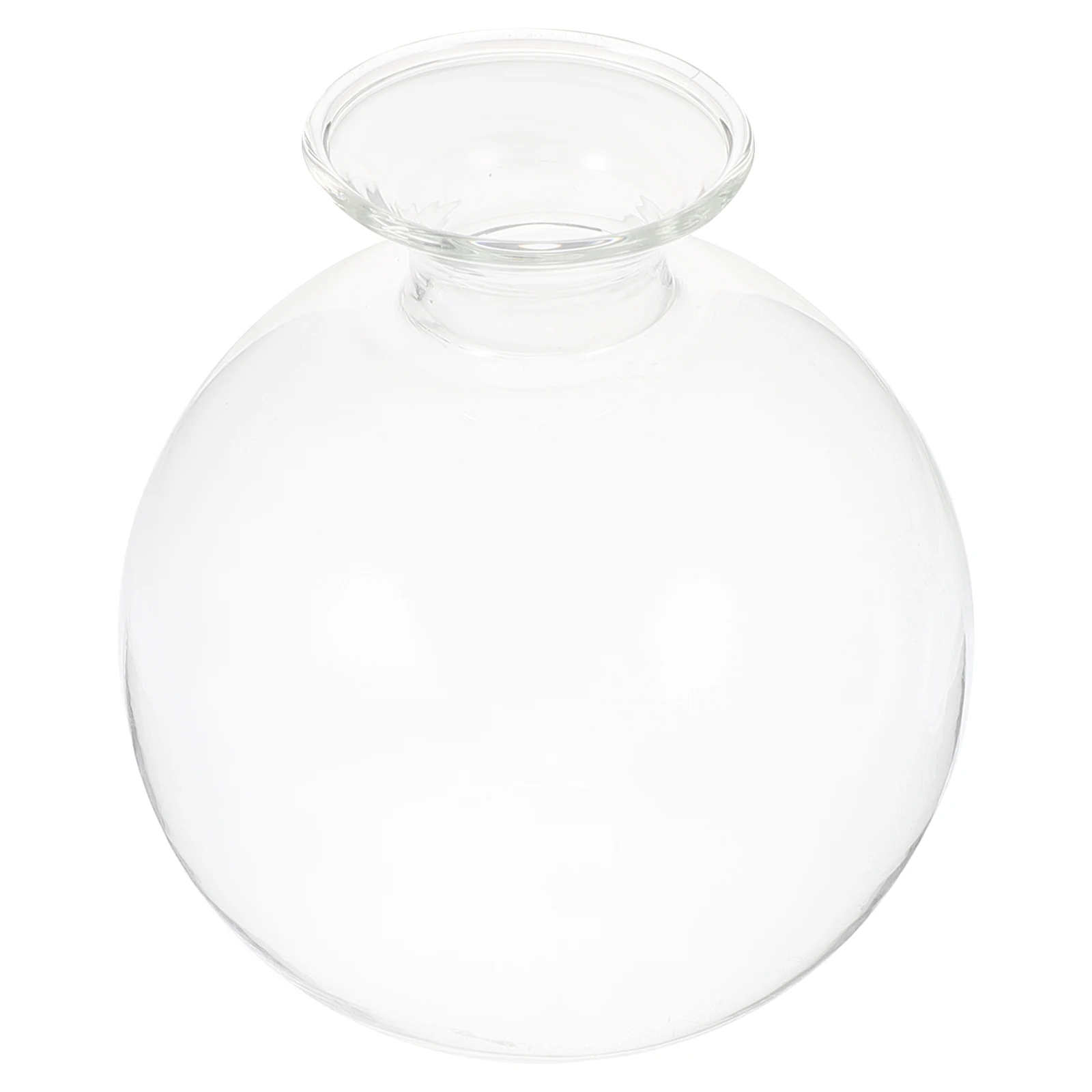 Glass Avocado Seed Starter Vase Modern Clear Flower Holder Succulent Plant Container Wedding Centerpieces Bookshelf Decor
Glass Avocado Seed Starter Vase Modern Clear Flower Holder Succulent Plant Container Wedding Centerpieces Bookshelf Decor