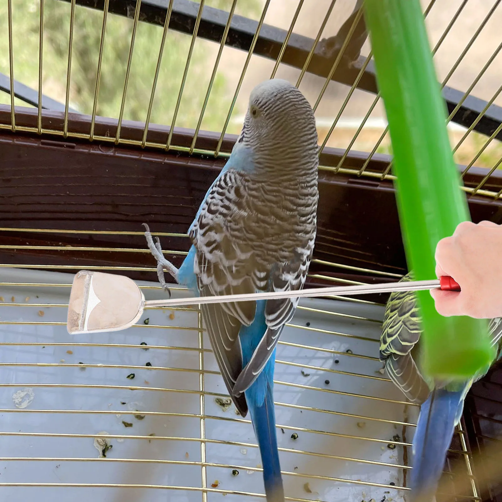 2 pcs Bird Cage Cleaning Brush Stainless Steel Wood Droppings Shovel Chicken Coop Tools Pet Hair Cleaner Rabbit Supplies
2 pcs Bird Cage Cleaning Brush Stainless Steel Wood Droppings Shovel Chicken Coop Tools Pet Hair Cleaner Rabbit Supplies