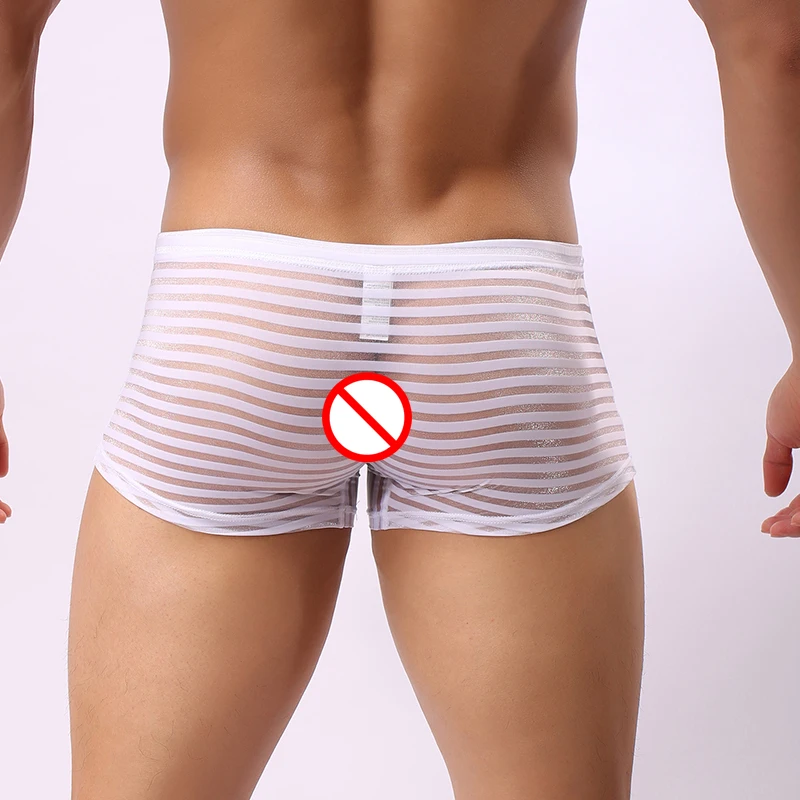 Bra Underwear Underpants Women Briefs Men's Low Rise Underpants Sexy Nylon Briefs With Transparent Stripe
Bra Underwear Underpants Women Briefs Men's Low Rise Underpants Sexy Nylon Briefs With Transparent Stripe
