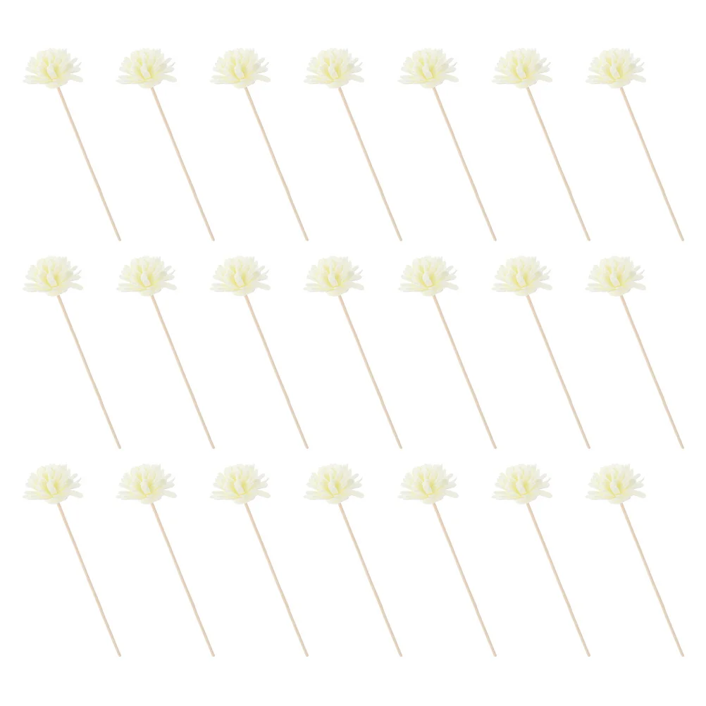 20Pcs Aromatherapy Flowers Aroma Rattan Sticks Safe Material Ideal for Bedroom Living Room Decorative Flower Diffuser
20Pcs Aromatherapy Flowers Aroma Rattan Sticks Safe Material Ideal for Bedroom Living Room Decorative Flower Diffuser