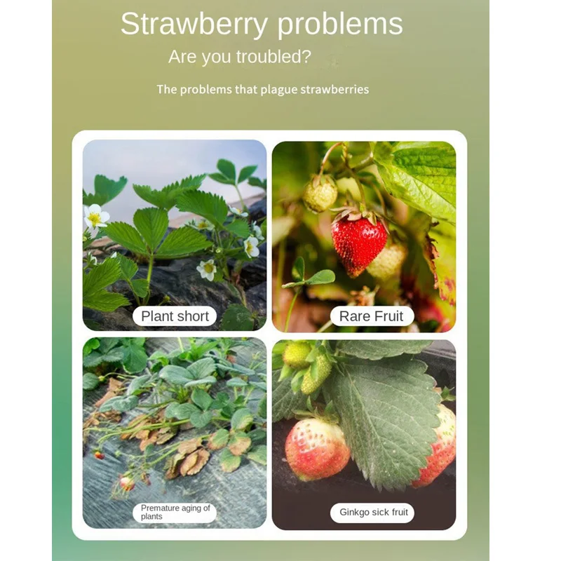 Strawberry fertilizer concentrated nutrient solution household potted fruit and vegetable organic fertilizer 500ml
Strawberry fertilizer concentrated nutrient solution household potted fruit and vegetable organic fertilizer 500ml