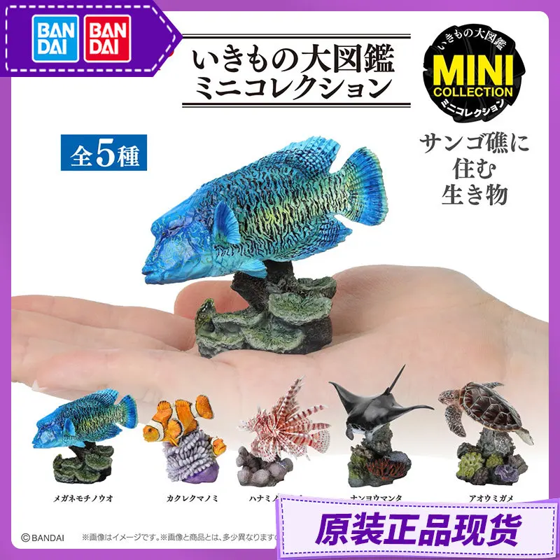 Коллекционная фигурка BANDAI Ikimono Dai Zukan Mini Collection: Морские животные кораллового рифа — морской окунь, клоун-рыба, леонфиш, манта, морская черепаха
Коллекционная фигурка BANDAI Ikimono Dai Zukan Mini Collection: Морские животные кораллового рифа — морской окунь, клоун-рыба, леонфиш, манта, морская черепаха
