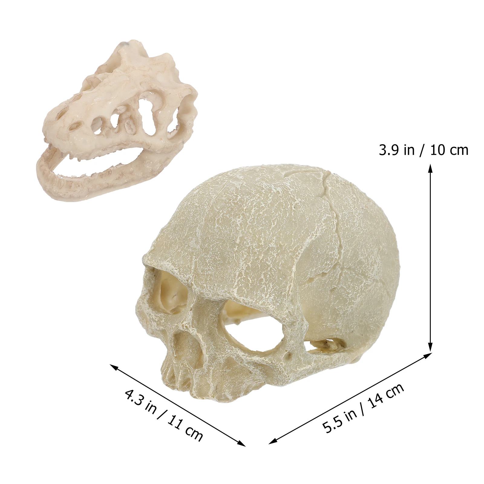 2Pcs Aquarium Skull Decoration Resin Fish Tank Landscape Ornament Artificial Skull Shape Hideout Fish Tank Accessory
2Pcs Aquarium Skull Decoration Resin Fish Tank Landscape Ornament Artificial Skull Shape Hideout Fish Tank Accessory