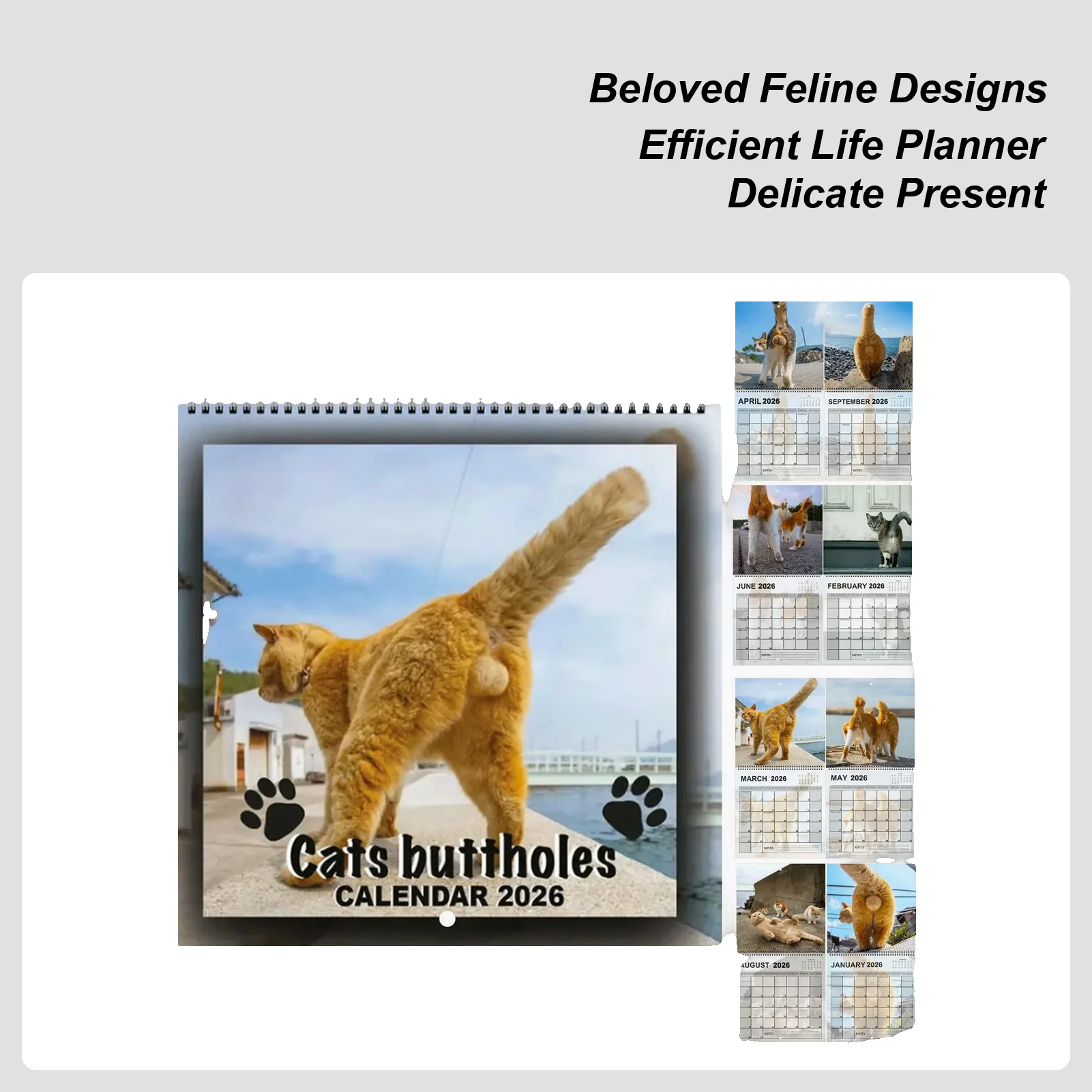 2026 Wall Calendar Monthly Cat Themed Calendar Scheduling Tool Family Planner Organizer For Fridge Desk Kitchen Living Room
2026 Wall Calendar Monthly Cat Themed Calendar Scheduling Tool Family Planner Organizer For Fridge Desk Kitchen Living Room