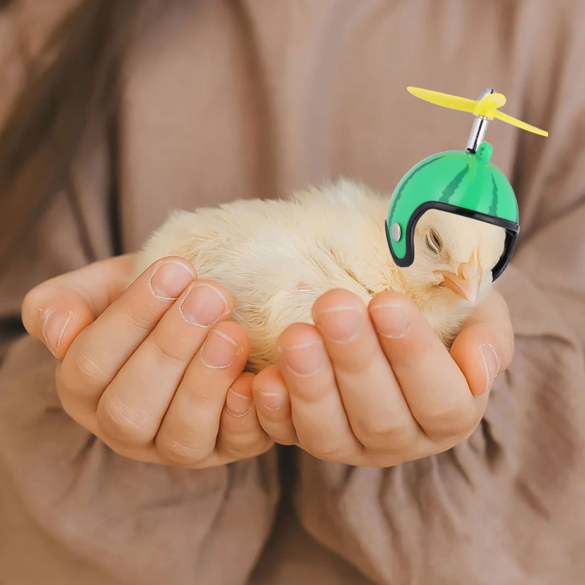 2 Pcs Creative New Pet Supplies Funny Protection Chicken Hen Hard Hat Bird Headgear Apparel Small Plastic Child
2 Pcs Creative New Pet Supplies Funny Protection Chicken Hen Hard Hat Bird Headgear Apparel Small Plastic Child