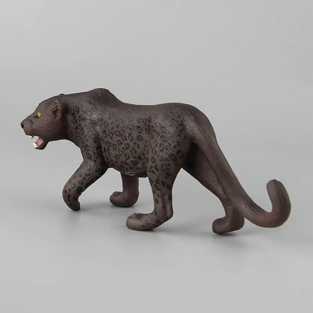 Pvc Leopard Model Standing Figures Realistic Pvc Leopard Figurine Sculpture for Kids Educational Desktop Decoration Walking Wild
Pvc Leopard Model Standing Figures Realistic Pvc Leopard Figurine Sculpture for Kids Educational Desktop Decoration Walking Wild