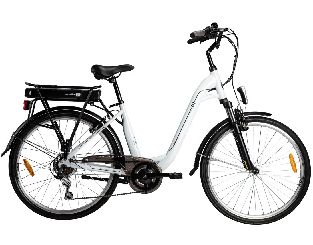 Electric Cargo Bike Lithium Battery Electric Bike 250W 36V Electric Bicycle with EN1519
Electric Cargo Bike Lithium Battery Electric Bike 250W 36V Electric Bicycle with EN1519