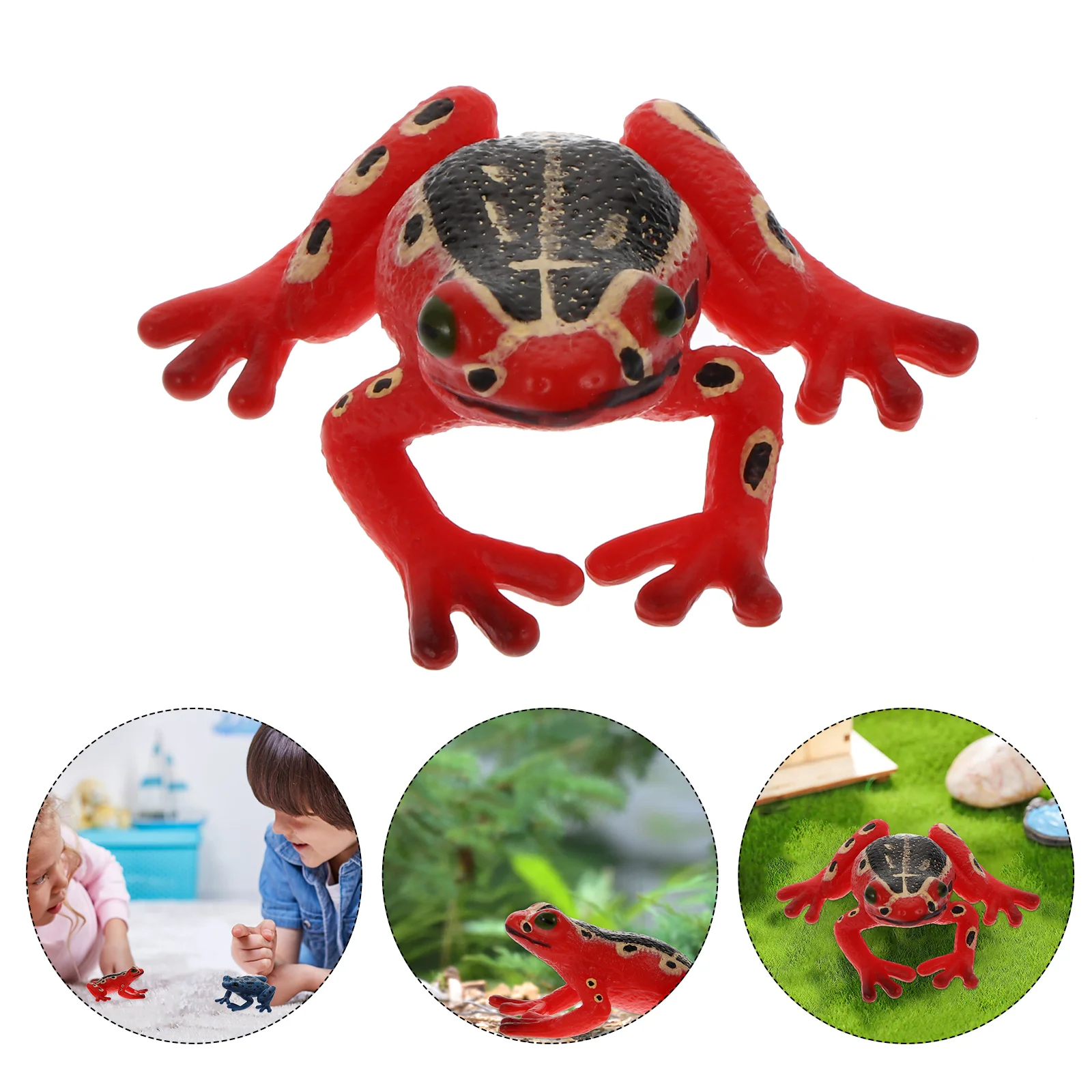 Frog Simulation Model Realistic Animal Mini Display Kids Toy Plastic Amphibian Nature Learning Decorative Parts Material
Frog Simulation Model Realistic Animal Mini Display Kids Toy Plastic Amphibian Nature Learning Decorative Parts Material