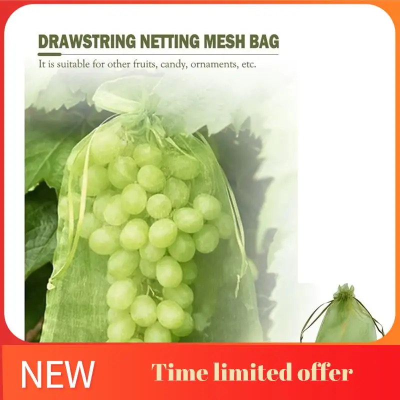100 Piece Reusable Gauze Fruit Protection Bags Fruit Green Gauze Strawberry Mesh Bag Plante Vegetable Grow Bags
100 Piece Reusable Gauze Fruit Protection Bags Fruit Green Gauze Strawberry Mesh Bag Plante Vegetable Grow Bags