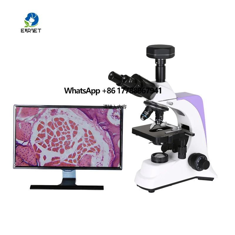 EUR VET Cheaper Medical Lab Digital Biological Microscope for Scientist and Veterinary Price
EUR VET Cheaper Medical Lab Digital Biological Microscope for Scientist and Veterinary Price