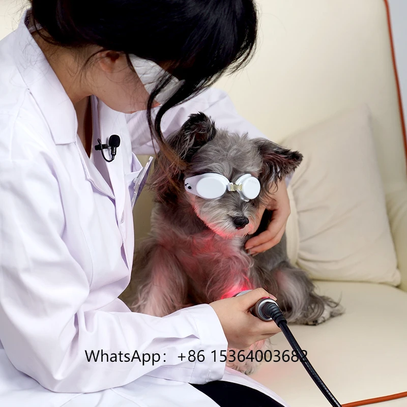 Class IV Laser Physical Therapy Equipment 10W-30W Rehabilitation 980nm 810nm for Veterinary Cure
Class IV Laser Physical Therapy Equipment 10W-30W Rehabilitation 980nm 810nm for Veterinary Cure