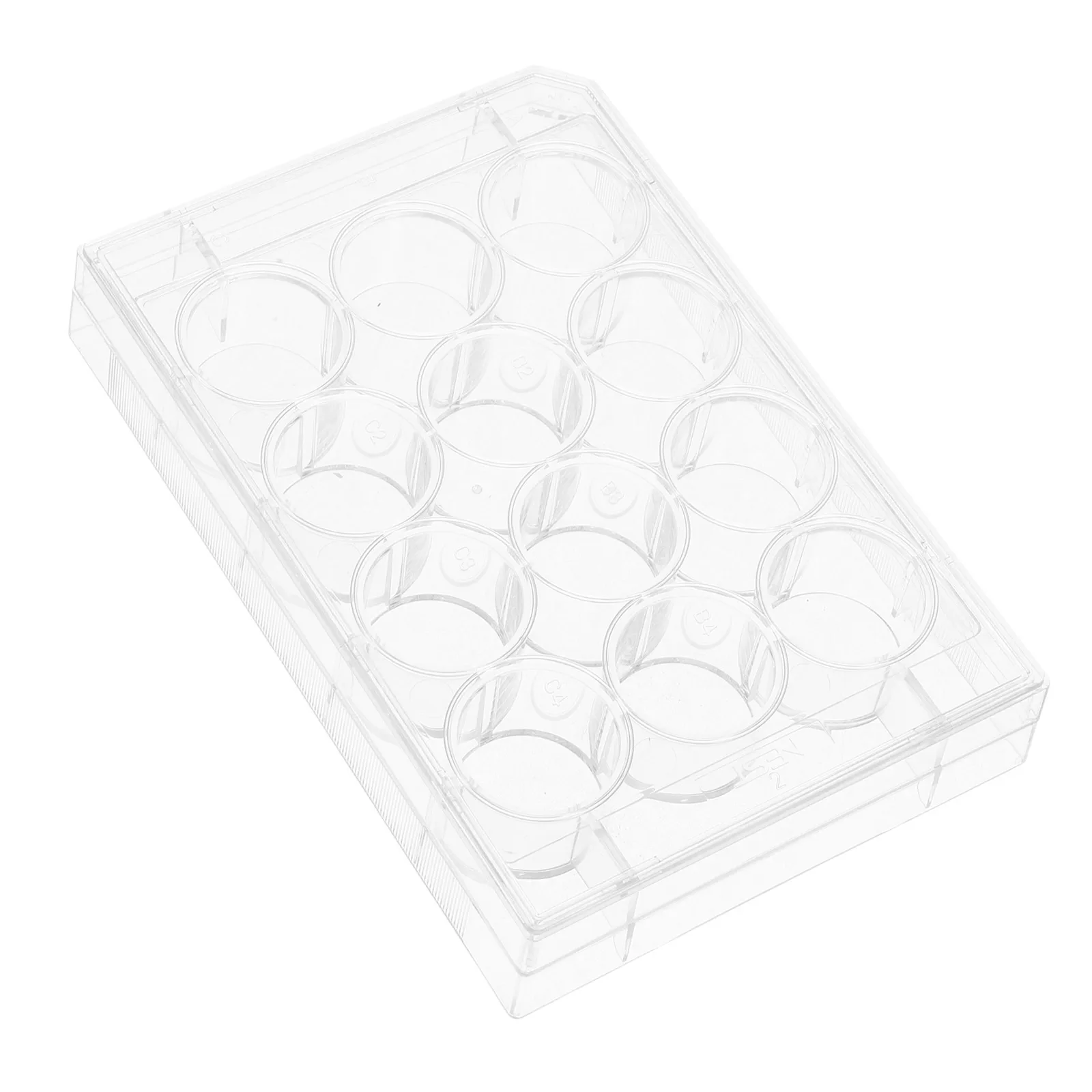 12 Well Cell Culture Plate Durable Plastic Flat Surface For Accurate Cell Growth Research Lab Equipment Tissue Culture Tray With
12 Well Cell Culture Plate Durable Plastic Flat Surface For Accurate Cell Growth Research Lab Equipment Tissue Culture Tray With
