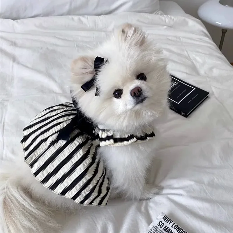 Fashion Princess Dress Vertical Stripe Pomeranian Dress Summer Pet Dog Clothes Teddy Black Skirt Bow Pullover Female Dog Clothes
Fashion Princess Dress Vertical Stripe Pomeranian Dress Summer Pet Dog Clothes Teddy Black Skirt Bow Pullover Female Dog Clothes