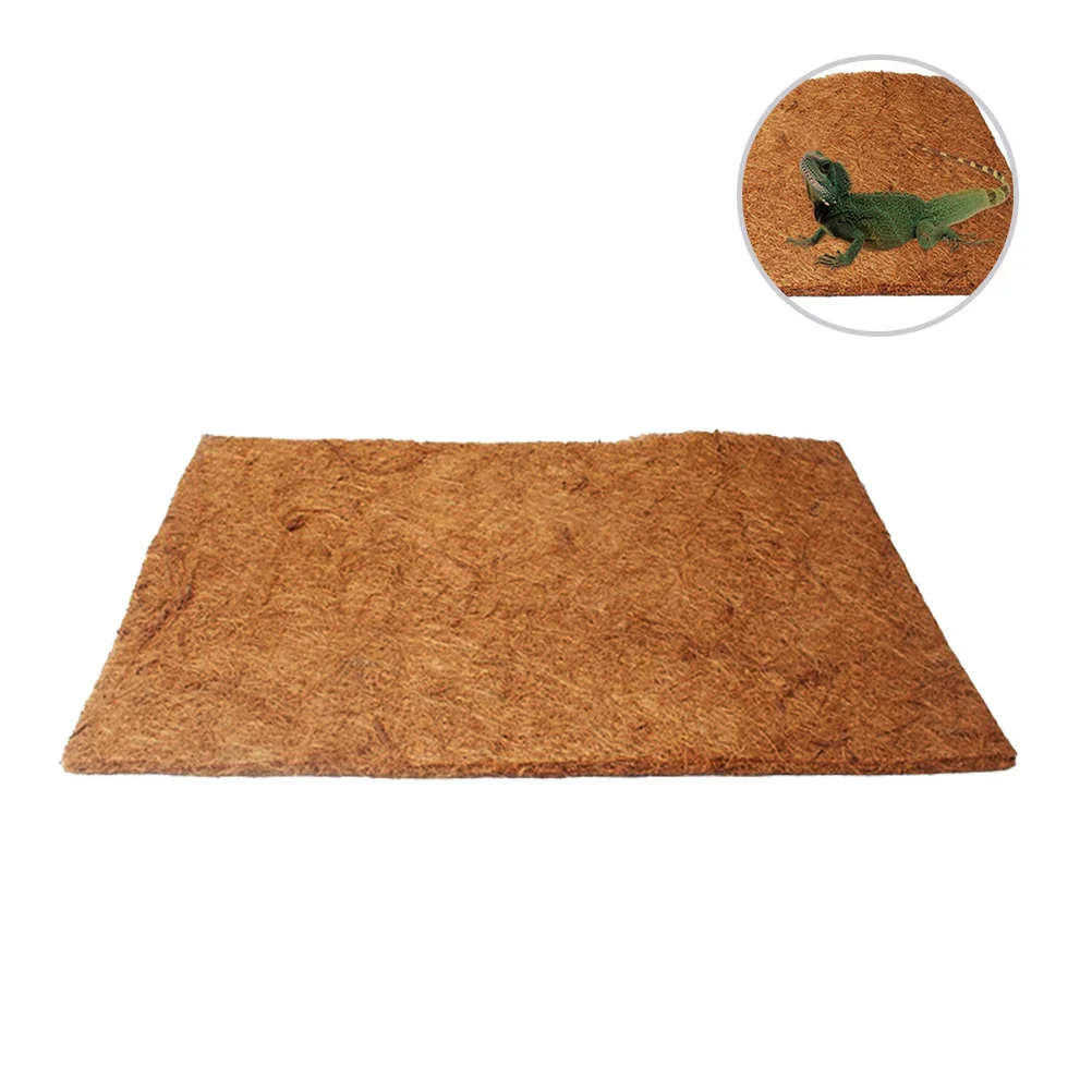 Turtle Terrarium Tank Accessories Reptile Products Leopard Tortoise Bedding Animal
Turtle Terrarium Tank Accessories Reptile Products Leopard Tortoise Bedding Animal